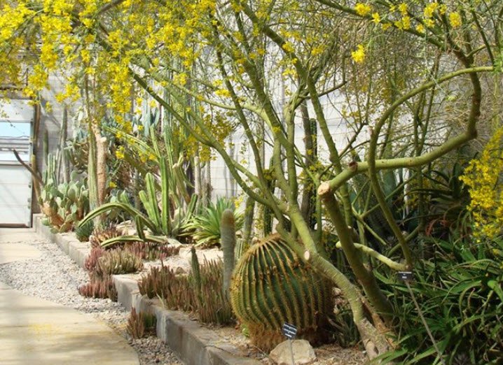 Living Desert Zoo and Gardens State Park, United States